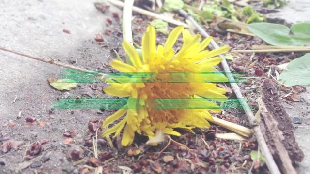 Одуванчик - Music Video смотреть онлайн