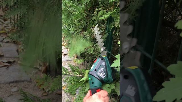 Parkside Cordless Grass & Hedge Trimmer PGSA 4 A2 - Test смотреть онлайн