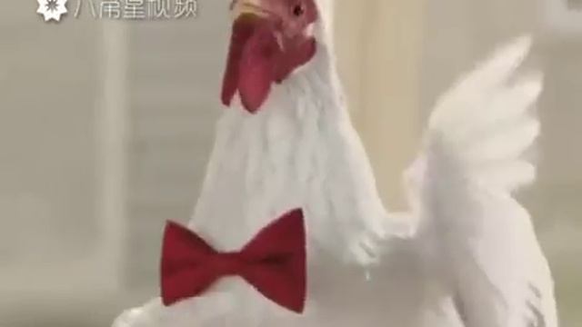 Новый год поют петухи смотреть онлайн