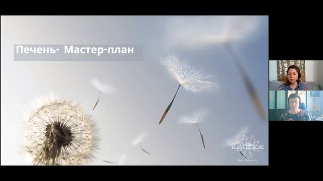 Восстановление Баланса Энергии растений Пять Элементов смотреть онлайн