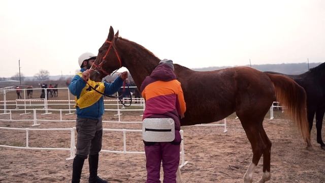 Фонд Сохранения и Развития Кабардинской Породы Лошадей