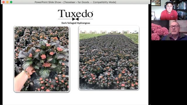 The Goods: Anthony Tesselaar смотреть онлайн