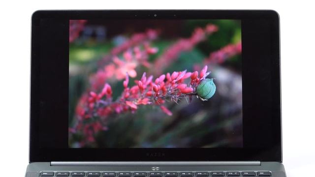 Razer Blade Stealth 13.3" Late 2017 Review - Intel 8th Gen смотреть онлайн