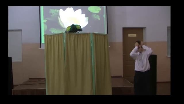 ecoskazka смотреть онлайн