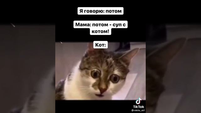 Потом - суп с котом!