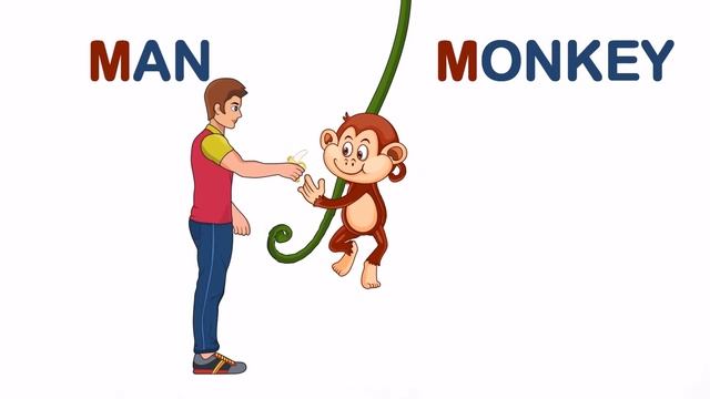 ABCs for Toddlers: Interactive Drag & Drop Letter Learning смотреть онлайн