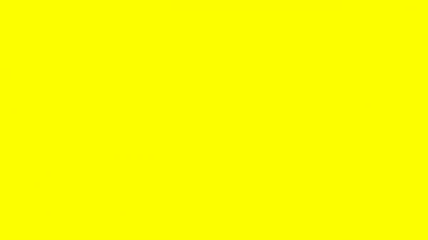 Yellow Screen | A Screen Of Pure Yellow For 10 Hours | Background | Backdrop | Screensaver | Full H