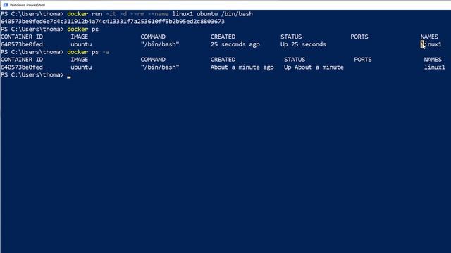 Docker Tutorial for Beginners: Running multiple docker containers (step by step hands-on!) in 2019 смотреть онлайн