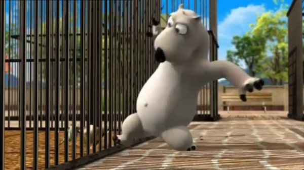 БЕРНАРД: Зоопарк