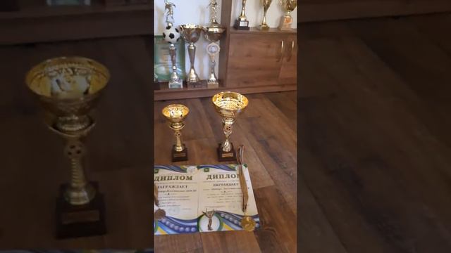 Трофеи футбольной команды Юниор Песочин смотреть онлайн