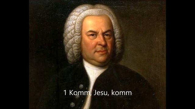 BWV229 Motet Komm, Jesu, komm Herreweghe 2011 смотреть онлайн