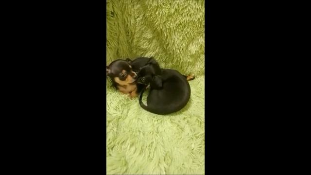 Хорошо, что ты живешь на соседней улице смотреть онлайн