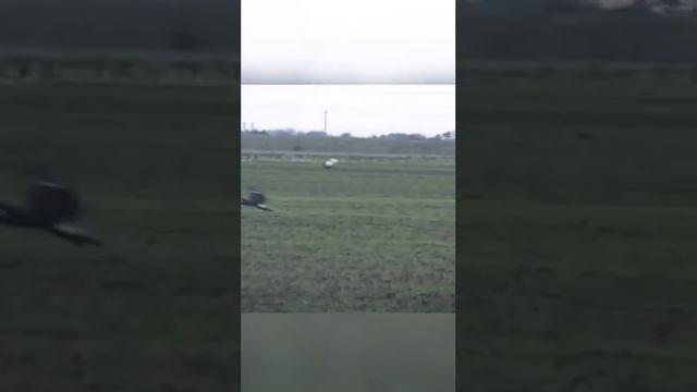Охота на зайца смотреть онлайн