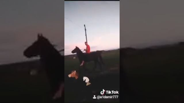 Карачаевская лошадь, иноходь смотреть онлайн