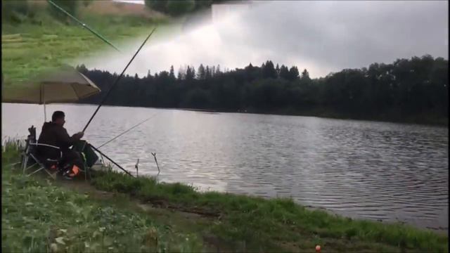 Клевое Место д Савельево. Поимка карпа 3 сектор смотреть онлайн
