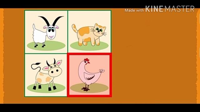 7    8  жаштагы балдар үчүн  логикалык суроолор.