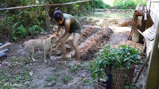 2 Year Living Off Grid | Ep.49 | Build a farm with a full vegetable gardens and fish ponds (p4) смотреть онлайн