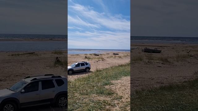 Горбуша на Варзуге 2023 смотреть онлайн