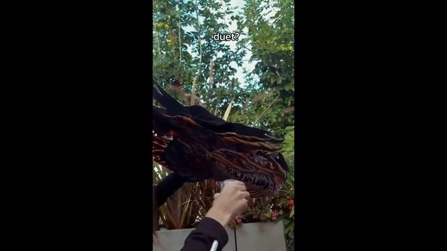 Dragon Puppet TikToks - Paper Dragon TikTok Compilation #101