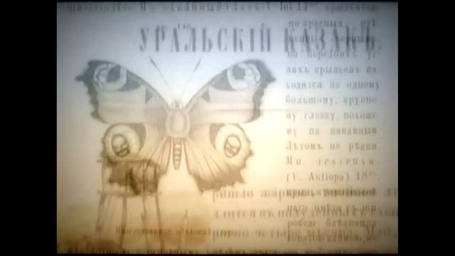 В. И. Даль смотреть онлайн
