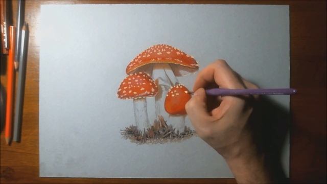 Fly Amanita Drawing ? смотреть онлайн