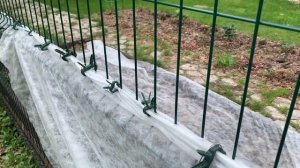 Укрытие огурцов для ленивых. За 5 минут временная защита для растений вместо парника, теплицы.