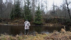 Kola Salmon Switch rod DH T 8 11,4