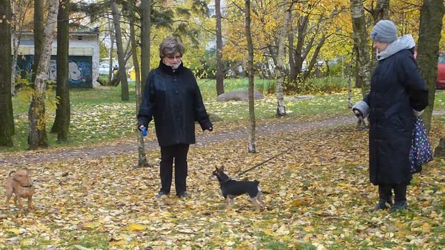 Альтан и Каштан смотреть онлайн