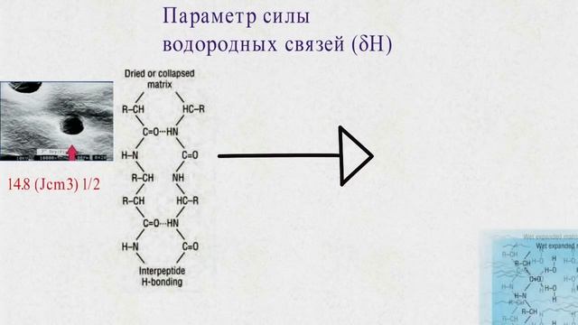 Спиртовой адгезивный протокол.Теория. смотреть онлайн
