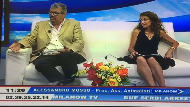 Milanow intervista Alessandro Mosso смотреть онлайн