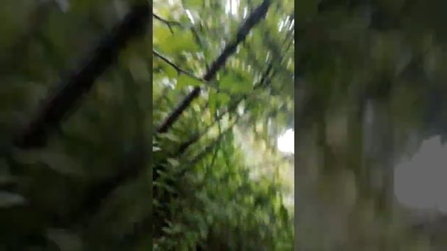 Рассказываю план как я хочу напугать папу смотреть онлайн