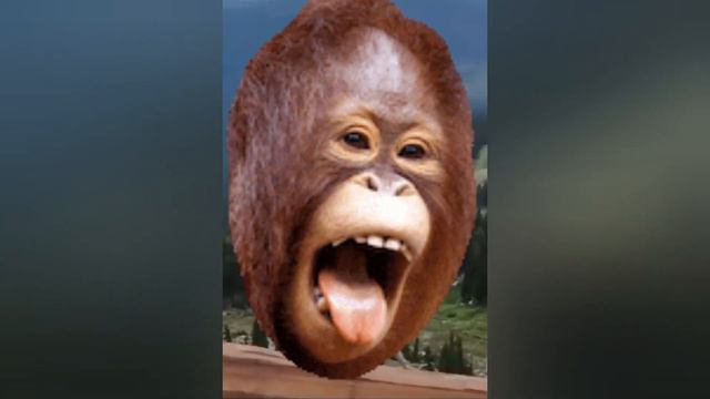 привет это мемы тыкай сейчас 🤨 смотреть онлайн