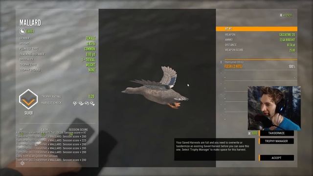 Sneaking Up on 3 Awesome Mallard Ducks! Call Of The Wild смотреть онлайн