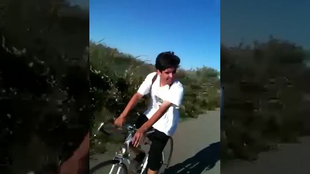 March of the penguins..2 смотреть онлайн