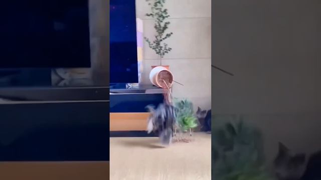 Эх, суеты захотелось! смотреть онлайн