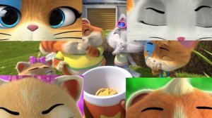 44 Cats | 30 MINUTES with Isotta!