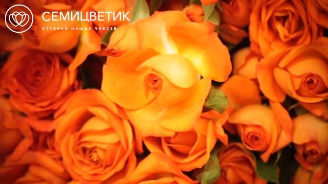 Обзор поставки: оранжевые кустовые розы смотреть онлайн
