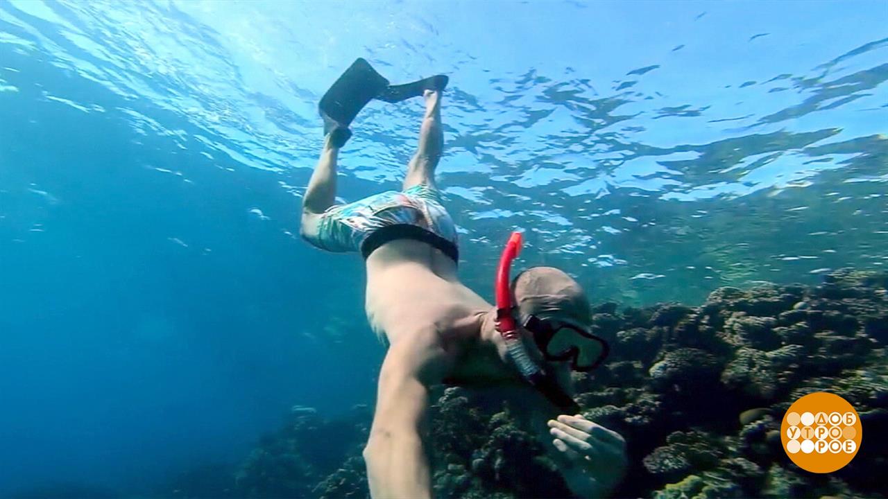 Раннее бронирование: выбор экономных. Доброе утро. Фрагмент выпуска от 09.09.2022 смотреть онлайн