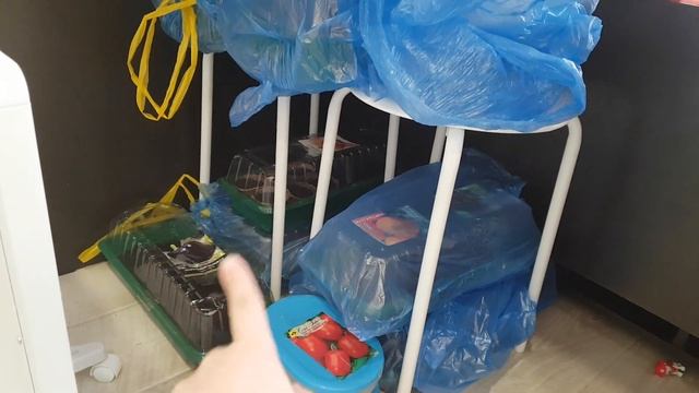 Рассада! Томаты! Перец! Семена Семко! Агрофирма Поиск! смотреть онлайн