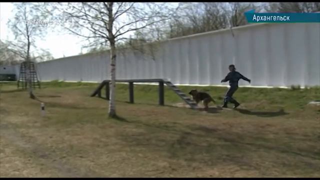 17.05.2018 Сейчас в регионе 12:00 смотреть онлайн