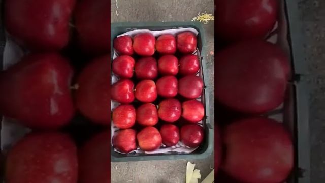 самый вкусный Ред Делишес 2020 смотреть онлайн