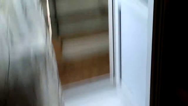 Коры xDD смотреть онлайн