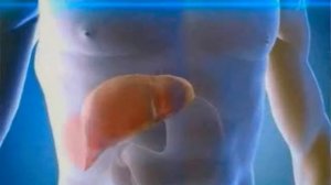 Масло расторопши рецепты самых полезных для здоровья масел