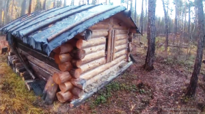 Ночной гость. Кобель еле живой. Охота. Быт в избе. 2 серия.