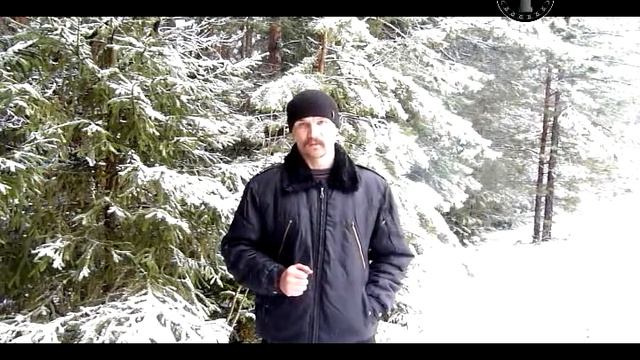 Вступление к видеокурсу "ЭФФЕКТ АКУЛЫ" смотреть онлайн