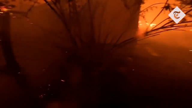 Горит Автралия. Австралийка сражается за спасение дома от лесного пожара. смотреть онлайн