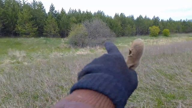 Плохой коп металла. Несколько часов, а находок почти нет. Заказал лопату Plantic Terra за 450 рубле