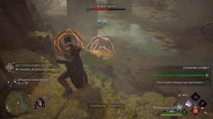 Задача профессора Онай - прохождение квеста Hogwarts Legacy