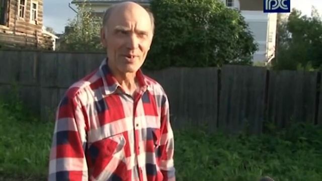 По Вологде почти двое суток бродил годовалый лось смотреть онлайн
