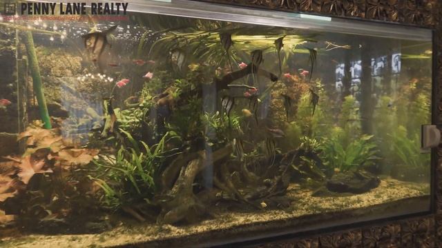 Дом в поселке "Антоновка" в стиле Ар-деко с бассейном и сауной смотреть онлайн